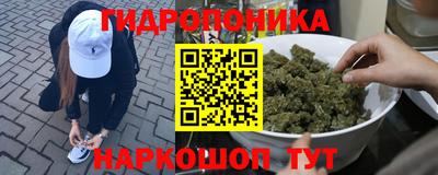 шишки Туймазы